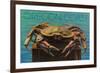 Oregon Coast - Dungeness Crab Vintage Postcard-Lantern Press-Framed Premium Giclee Print