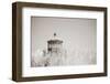 Oregon Coast Lighthouse Neutral-Nathan Larson-Framed Photographic Print