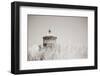 Oregon Coast Lighthouse Neutral-Nathan Larson-Framed Photographic Print
