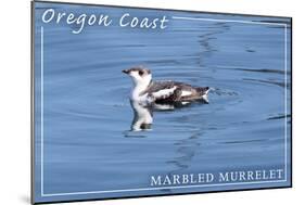 Oregon Coast - Marbled Murrelet-Lantern Press-Mounted Art Print