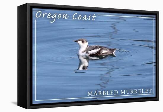 Oregon Coast - Marbled Murrelet-Lantern Press-Framed Stretched Canvas