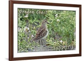 Oregon Coast - Sandpiper-Lantern Press-Framed Art Print