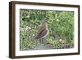 Oregon Coast - Sandpiper-Lantern Press-Framed Art Print