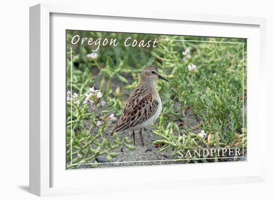 Oregon Coast - Sandpiper-Lantern Press-Framed Art Print