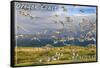 Oregon Coast - Seagulls-Lantern Press-Framed Stretched Canvas