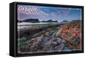 Oregon Coast - Tidepool-Lantern Press-Framed Stretched Canvas