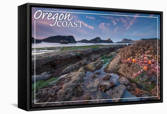 Oregon Coast - Tidepool-Lantern Press-Framed Stretched Canvas