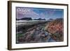 Oregon Coast - Tidepool-Lantern Press-Framed Art Print