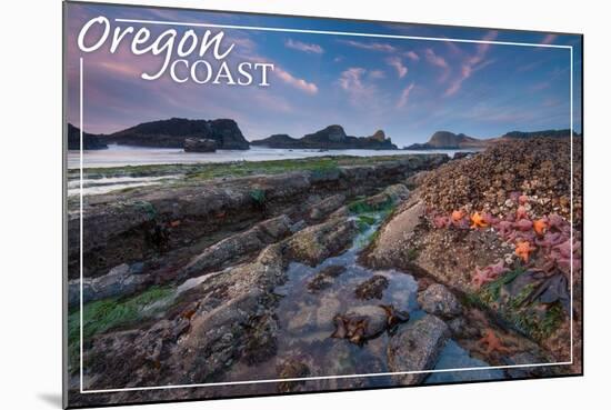 Oregon Coast - Tidepool-Lantern Press-Mounted Art Print