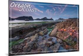 Oregon Coast - Tidepool-Lantern Press-Mounted Art Print