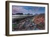 Oregon Coast - Tidepool-Lantern Press-Framed Art Print