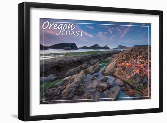 Oregon Coast - Tidepool-Lantern Press-Framed Art Print