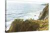 Oregon Coast Trail. Oswald West State Park, OR-Justin Bailie-Stretched Canvas