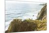 Oregon Coast Trail. Oswald West State Park, OR-Justin Bailie-Mounted Photographic Print