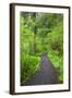 Oregon Coast Trail, Oswald West State Park, Oregon, USA-Jamie & Judy Wild-Framed Photographic Print