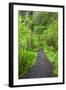 Oregon Coast Trail, Oswald West State Park, Oregon, USA-Jamie & Judy Wild-Framed Photographic Print