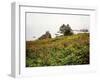 Oregon Coast-Debra Van Swearingen-Framed Photographic Print