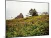 Oregon Coast-Debra Van Swearingen-Mounted Photographic Print