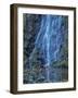 Oregon, Columbia River Gorge National Scenic Area, Cabin Creek Falls-Jamie & Judy Wild-Framed Photographic Print