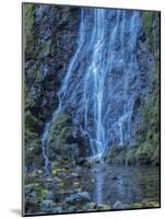 Oregon, Columbia River Gorge National Scenic Area, Cabin Creek Falls-Jamie & Judy Wild-Mounted Photographic Print