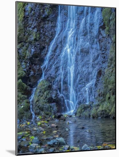 Oregon, Columbia River Gorge National Scenic Area, Cabin Creek Falls-Jamie & Judy Wild-Mounted Photographic Print