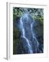 Oregon, Columbia River Gorge National Scenic Area, Cabin Creek Falls-Jamie & Judy Wild-Framed Photographic Print