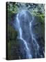 Oregon, Columbia River Gorge National Scenic Area, Cabin Creek Falls-Jamie & Judy Wild-Stretched Canvas