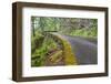 Oregon, Columbia River Gorge National Scenic Area, Historic Columbia Gorge Highway-Jamie & Judy Wild-Framed Photographic Print