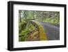 Oregon, Columbia River Gorge National Scenic Area, Historic Columbia Gorge Highway-Jamie & Judy Wild-Framed Photographic Print