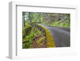 Oregon, Columbia River Gorge National Scenic Area, Historic Columbia Gorge Highway-Jamie & Judy Wild-Framed Photographic Print