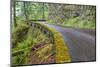 Oregon, Columbia River Gorge National Scenic Area, Historic Columbia Gorge Highway-Jamie & Judy Wild-Mounted Photographic Print