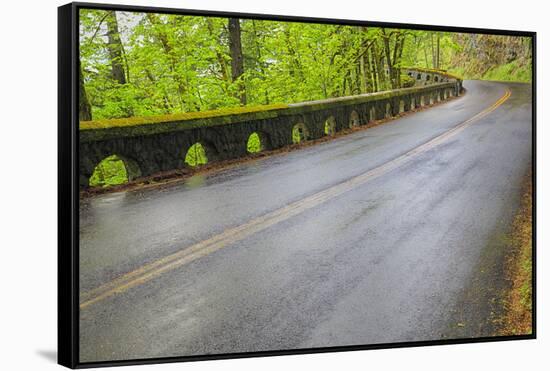 Oregon, Columbia River Gorge National Scenic Area, Historic Columbia Gorge Highway-Jamie & Judy Wild-Framed Stretched Canvas