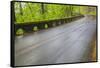 Oregon, Columbia River Gorge National Scenic Area, Historic Columbia Gorge Highway-Jamie & Judy Wild-Framed Stretched Canvas