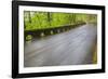 Oregon, Columbia River Gorge National Scenic Area, Historic Columbia Gorge Highway-Jamie & Judy Wild-Framed Photographic Print