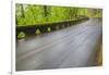 Oregon, Columbia River Gorge National Scenic Area, Historic Columbia Gorge Highway-Jamie & Judy Wild-Framed Photographic Print