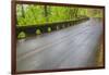 Oregon, Columbia River Gorge National Scenic Area, Historic Columbia Gorge Highway-Jamie & Judy Wild-Framed Photographic Print