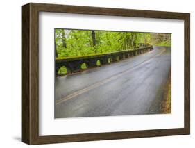 Oregon, Columbia River Gorge National Scenic Area, Historic Columbia Gorge Highway-Jamie & Judy Wild-Framed Photographic Print