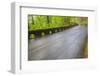 Oregon, Columbia River Gorge National Scenic Area, Historic Columbia Gorge Highway-Jamie & Judy Wild-Framed Photographic Print