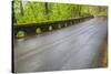 Oregon, Columbia River Gorge National Scenic Area, Historic Columbia Gorge Highway-Jamie & Judy Wild-Stretched Canvas