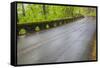 Oregon, Columbia River Gorge National Scenic Area, Historic Columbia Gorge Highway-Jamie & Judy Wild-Framed Stretched Canvas