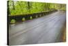 Oregon, Columbia River Gorge National Scenic Area, Historic Columbia Gorge Highway-Jamie & Judy Wild-Stretched Canvas