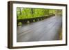 Oregon, Columbia River Gorge National Scenic Area, Historic Columbia Gorge Highway-Jamie & Judy Wild-Framed Photographic Print