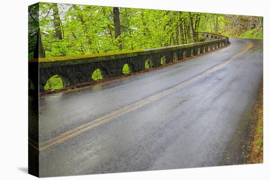 Oregon, Columbia River Gorge National Scenic Area, Historic Columbia Gorge Highway-Jamie & Judy Wild-Stretched Canvas