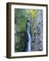 Oregon, Columbia River Gorge National Scenic Area, Hole in the Wall Falls-Jamie & Judy Wild-Framed Photographic Print