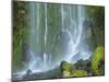 Oregon, Columbia River Gorge National Scenic Area, Lancaster Falls-Jamie & Judy Wild-Mounted Photographic Print