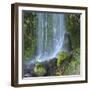 Oregon, Columbia River Gorge National Scenic Area, Lancaster Falls-Jamie & Judy Wild-Framed Photographic Print