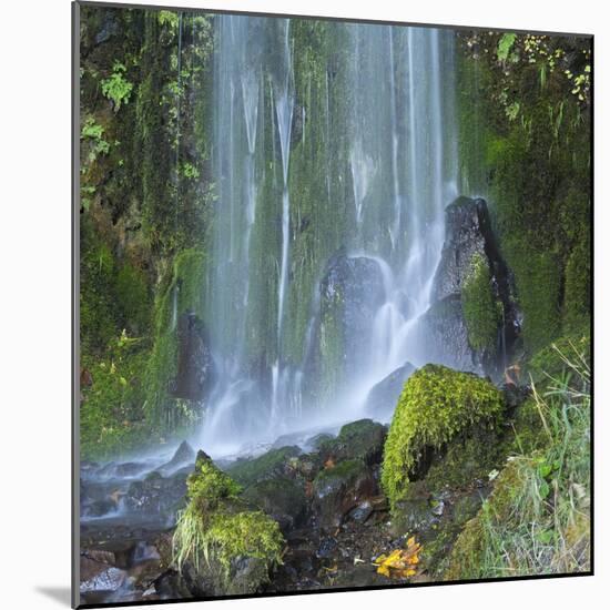 Oregon, Columbia River Gorge National Scenic Area, Lancaster Falls-Jamie & Judy Wild-Mounted Photographic Print