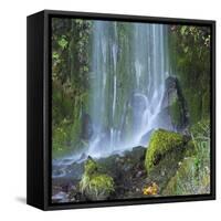 Oregon, Columbia River Gorge National Scenic Area, Lancaster Falls-Jamie & Judy Wild-Framed Stretched Canvas