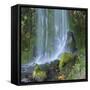 Oregon, Columbia River Gorge National Scenic Area, Lancaster Falls-Jamie & Judy Wild-Framed Stretched Canvas