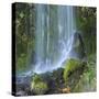 Oregon, Columbia River Gorge National Scenic Area, Lancaster Falls-Jamie & Judy Wild-Stretched Canvas